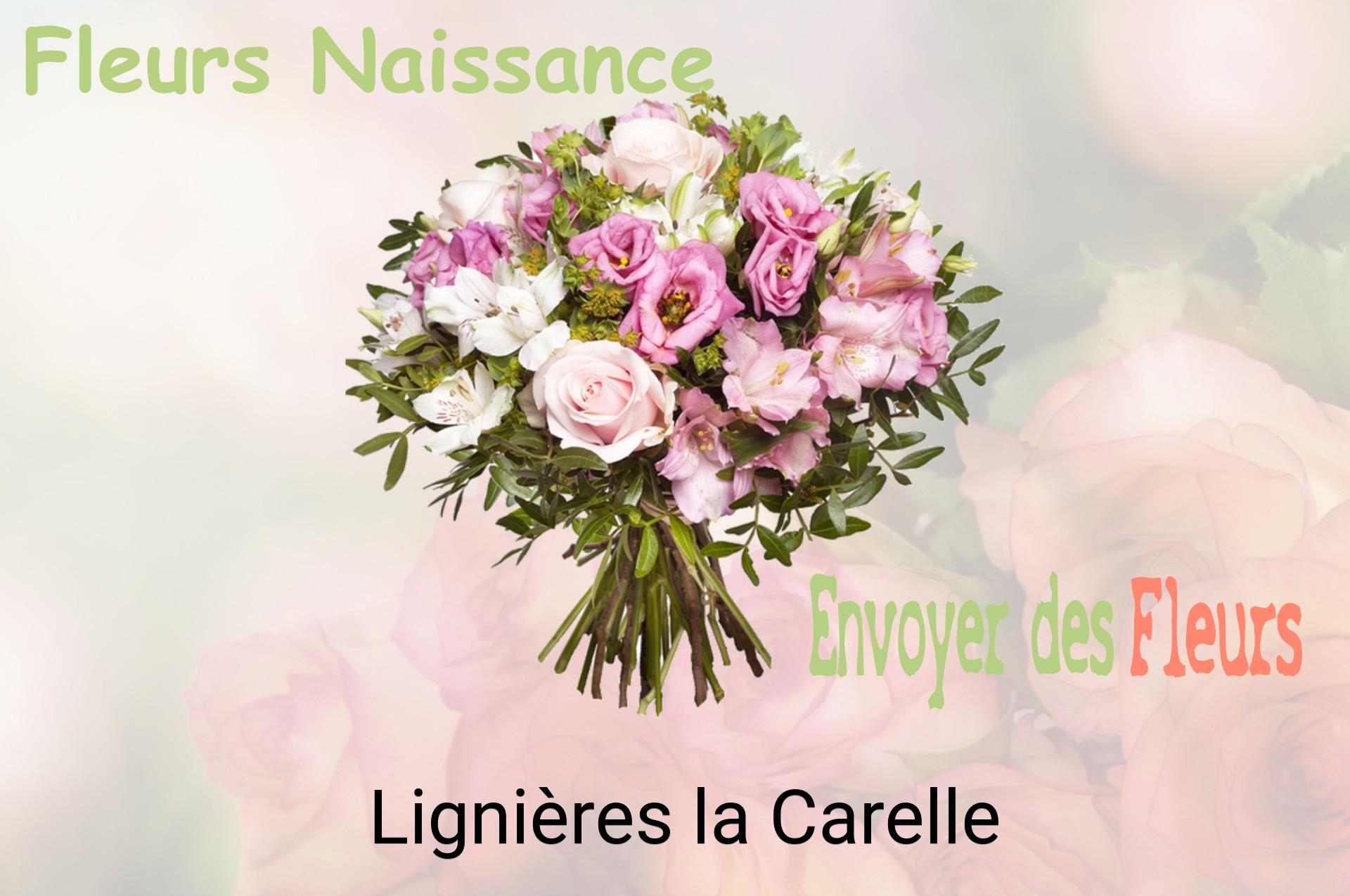 Bouquet de fleurs de naissance livré à Lignières-la-Carelle